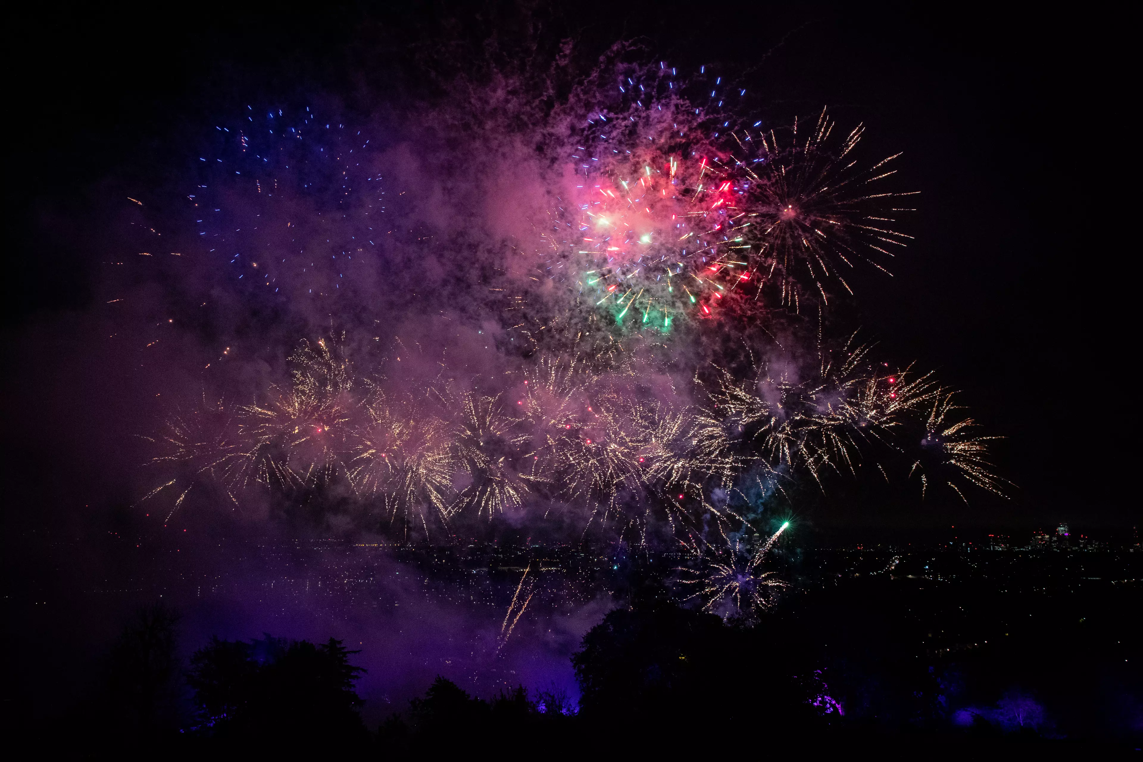 More than 170,000 people have signed a petition calling for the general sale of fireworks to be banned.