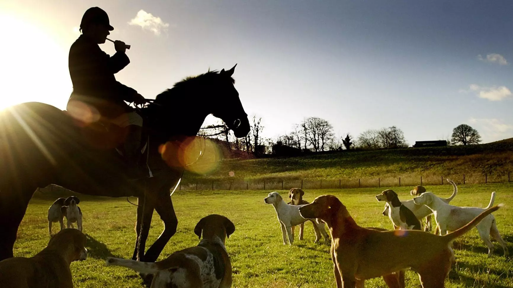 More Than 80 Boxing Day Hunt Meets Have Been Planned