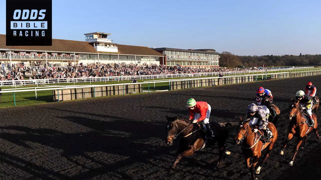 ODDSbibleRacing's Best Bets From Lingfield's All-Weather Championship Finals Day