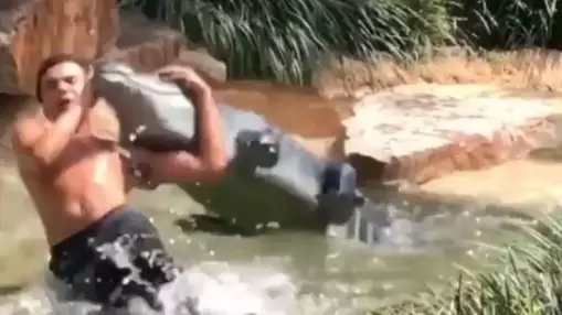 ​Teen Who Tried To RKO Principal Arrested After Doing Move On Fake Alligator