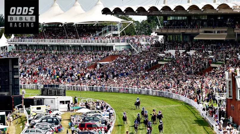 ODDSbibleRacing's Best Bets For Tuesday's Action At Leicester, Lingfield And More