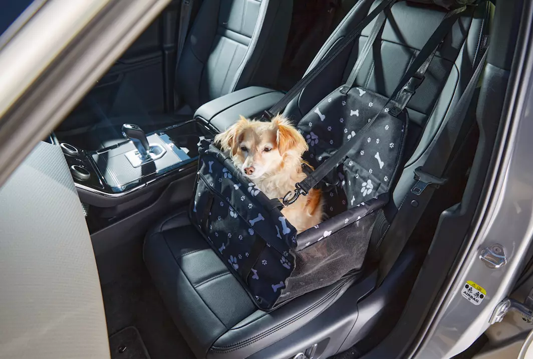 There's also a new car seat for travelling (