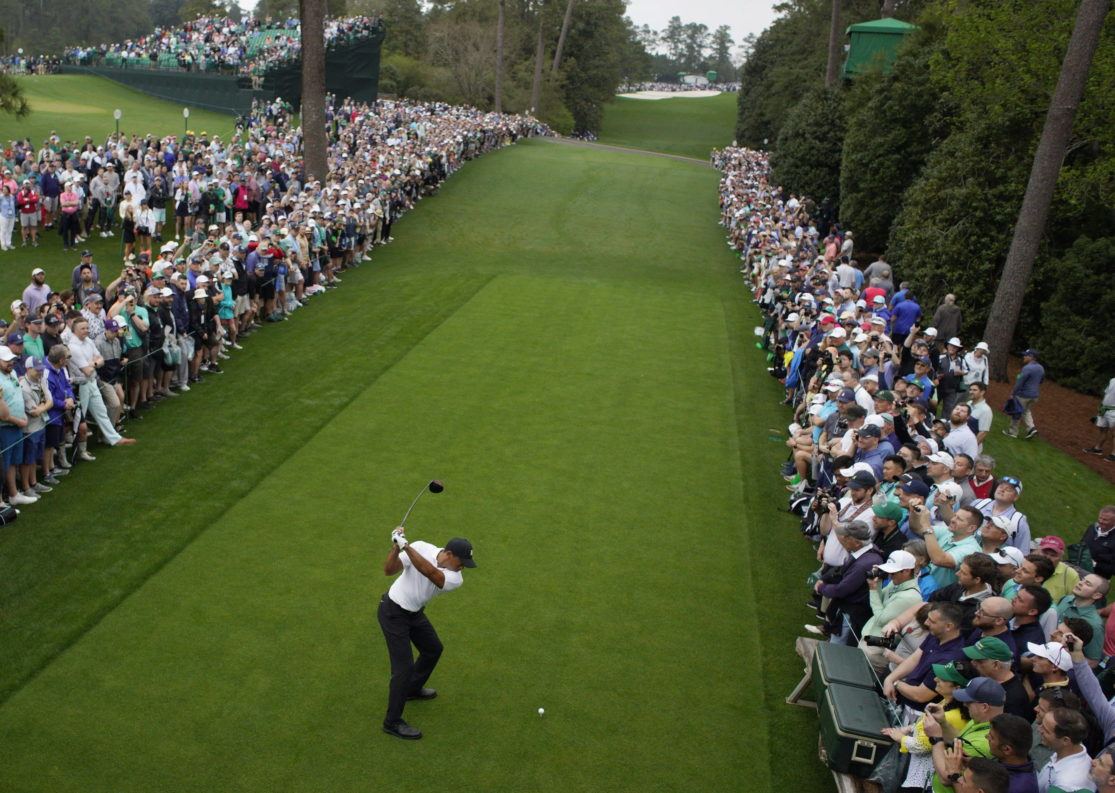 The fan turnout to see Tiger Woods' practise round. Credit; Alamy