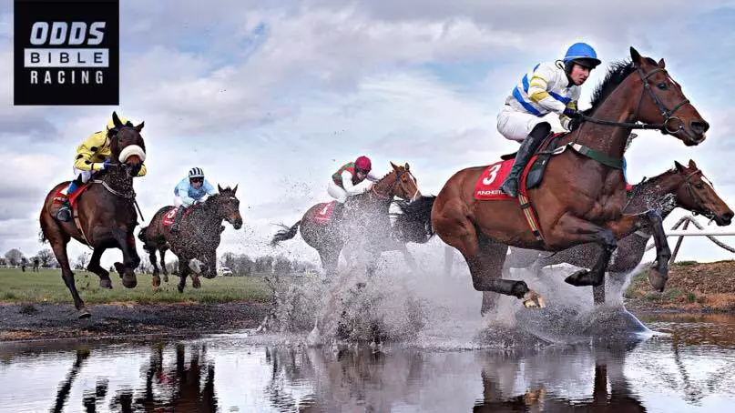 ODDSbible Racing: Punchestown Festival Day Four Race-By-Race Betting Preview