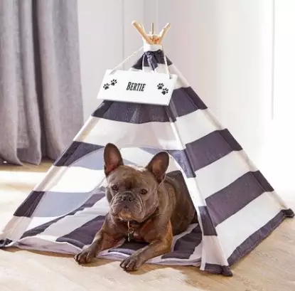 Pet Teepees are our favourite new trend (