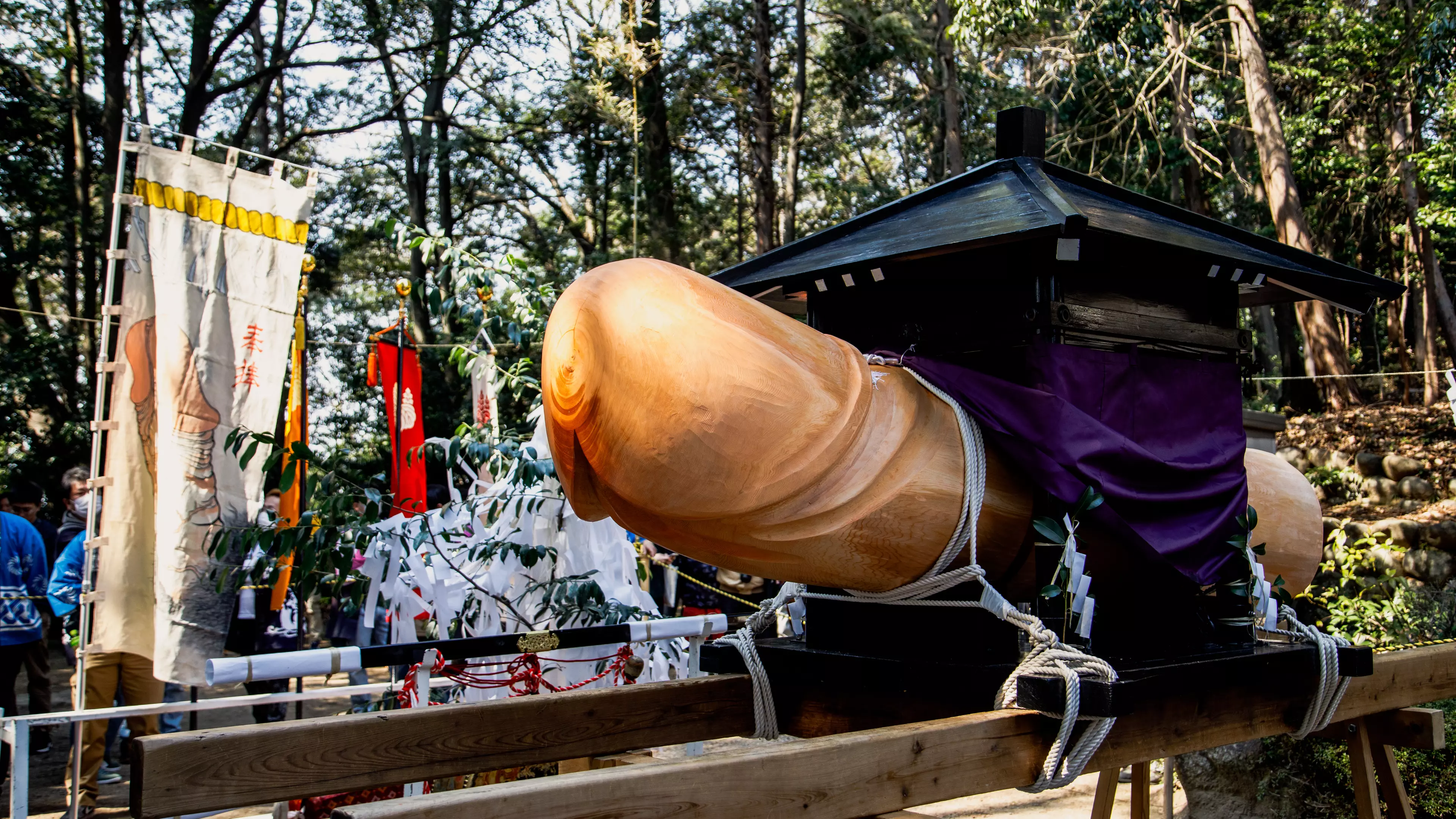 Thousands Watch On As Giant Phallus Is Paraded During Penis Festival