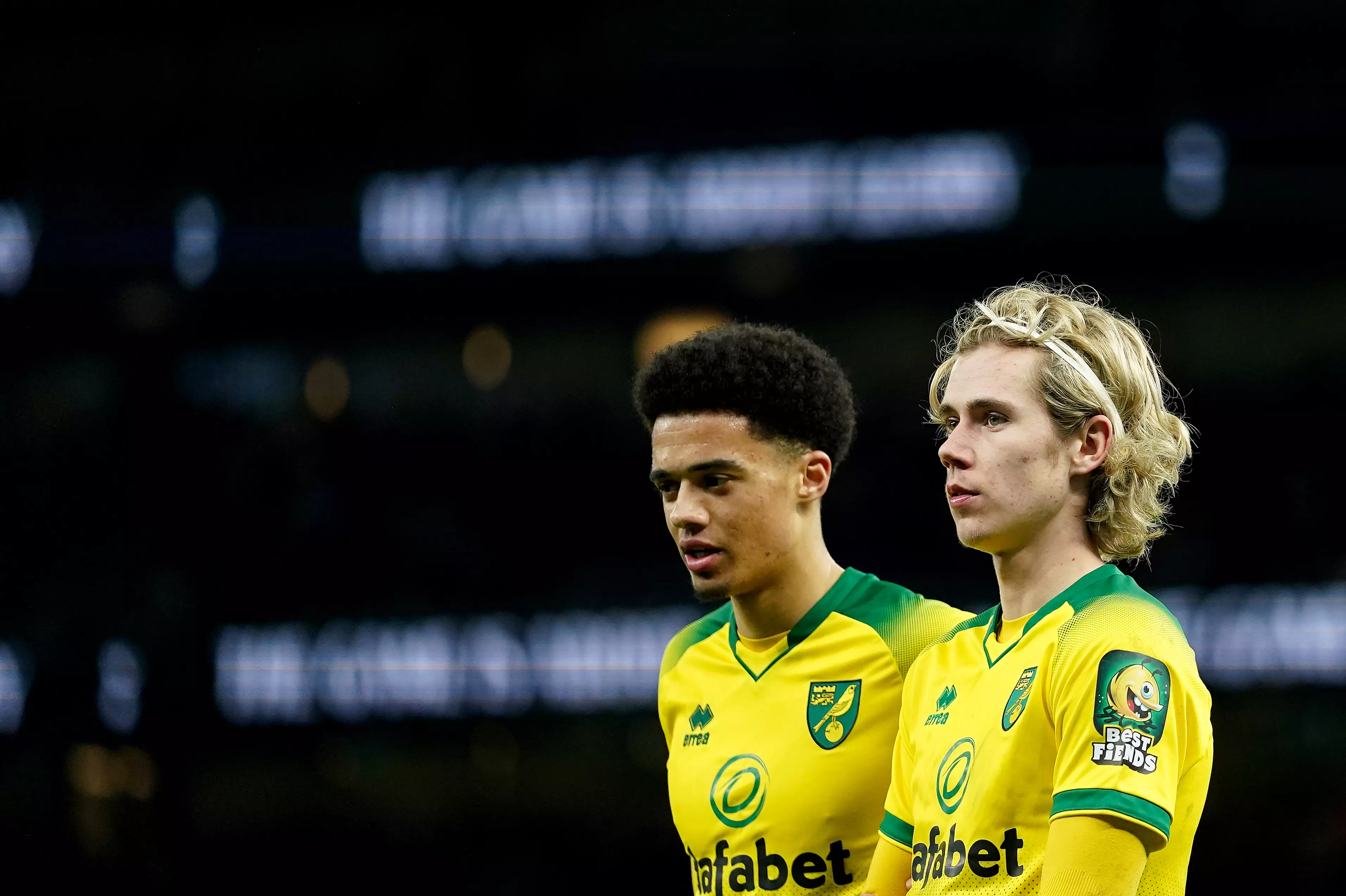 Lewis and Cantwell have been bright sparks in Norwich's season. (Image