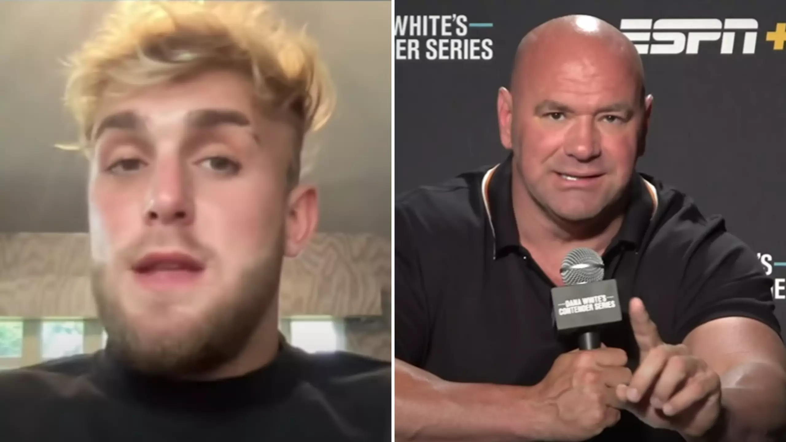 Jake Paul Responds To Dana White's 'F**king Guarantee' Rant With Two Massive Crossover Fights