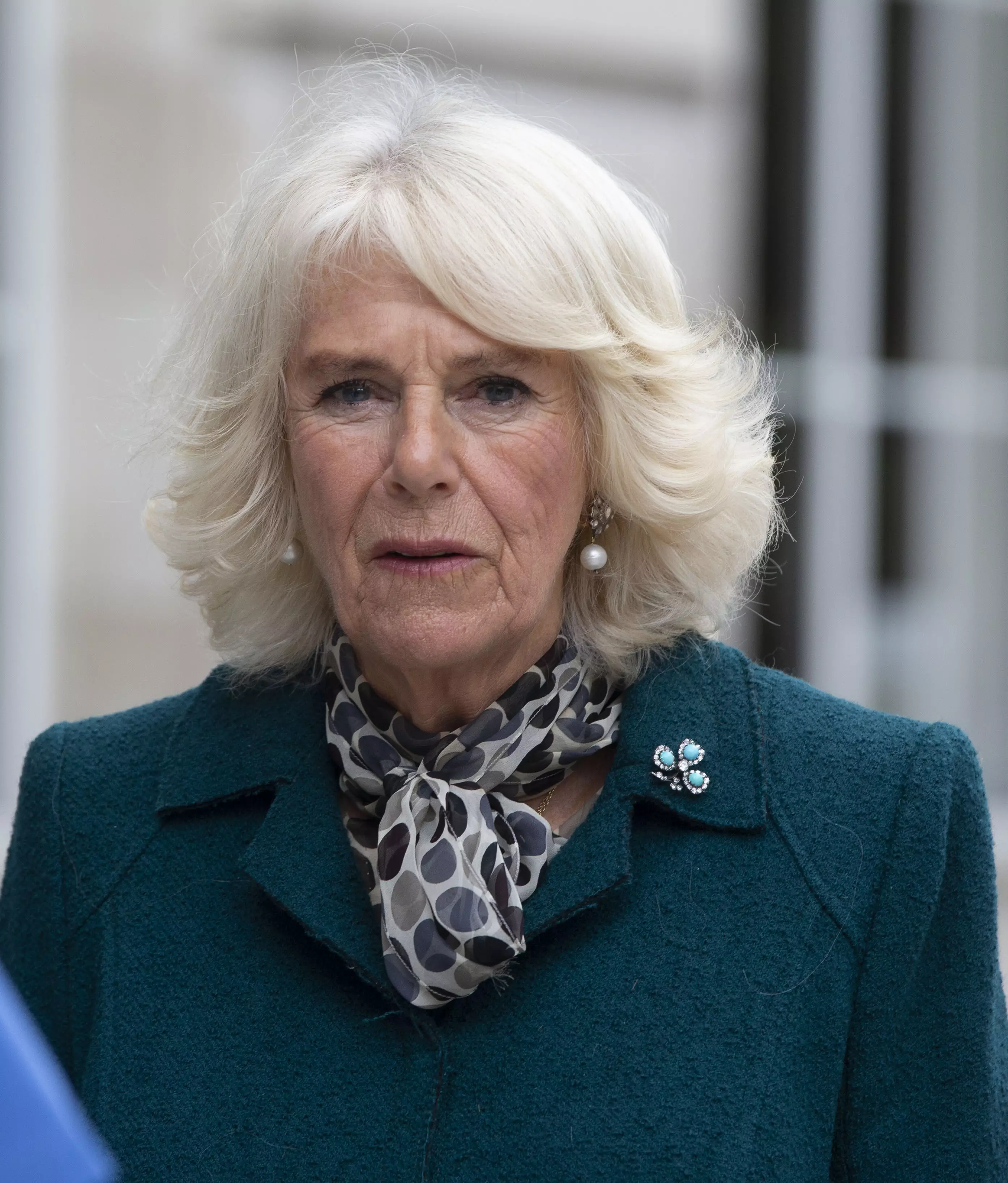 Camilla, Duchess of Cornwall, has been subject to some upsetting online abuse from viewers who watched the show (