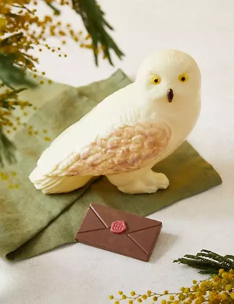 Hedwig comes complete with its own chocolate envelope (