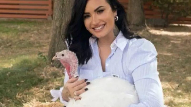 Demi Lovato Ripped For Sharing Two Very Different Photos Of Turkeys