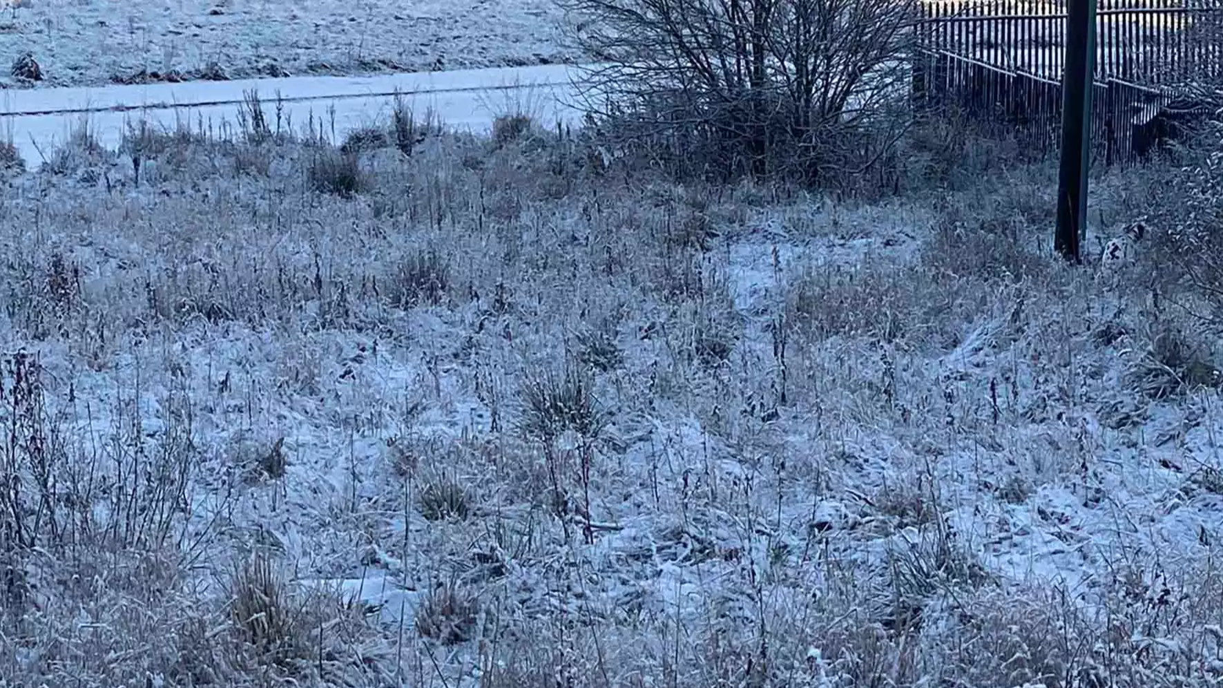 Man Challenges Twitters Users To Spot Dalmatian Having A Poo In Snow