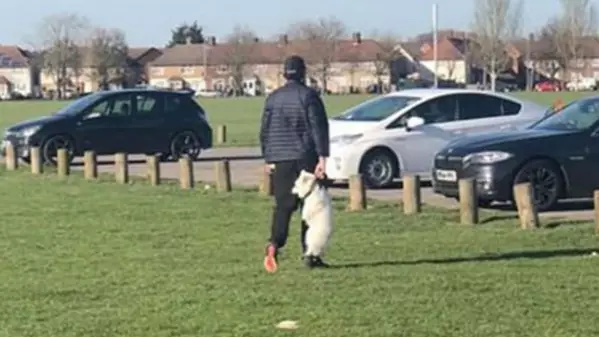 RSPCA Searching For Man Seen Carrying Dog By Collar In Park