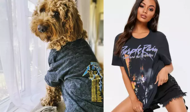 You can get a band tee for your edgy pooch (