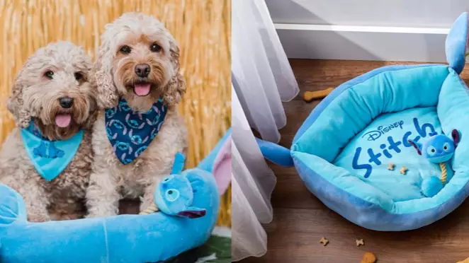 Primark Is Selling An Adorable Stitch Pets Collection - And We're Obsessed