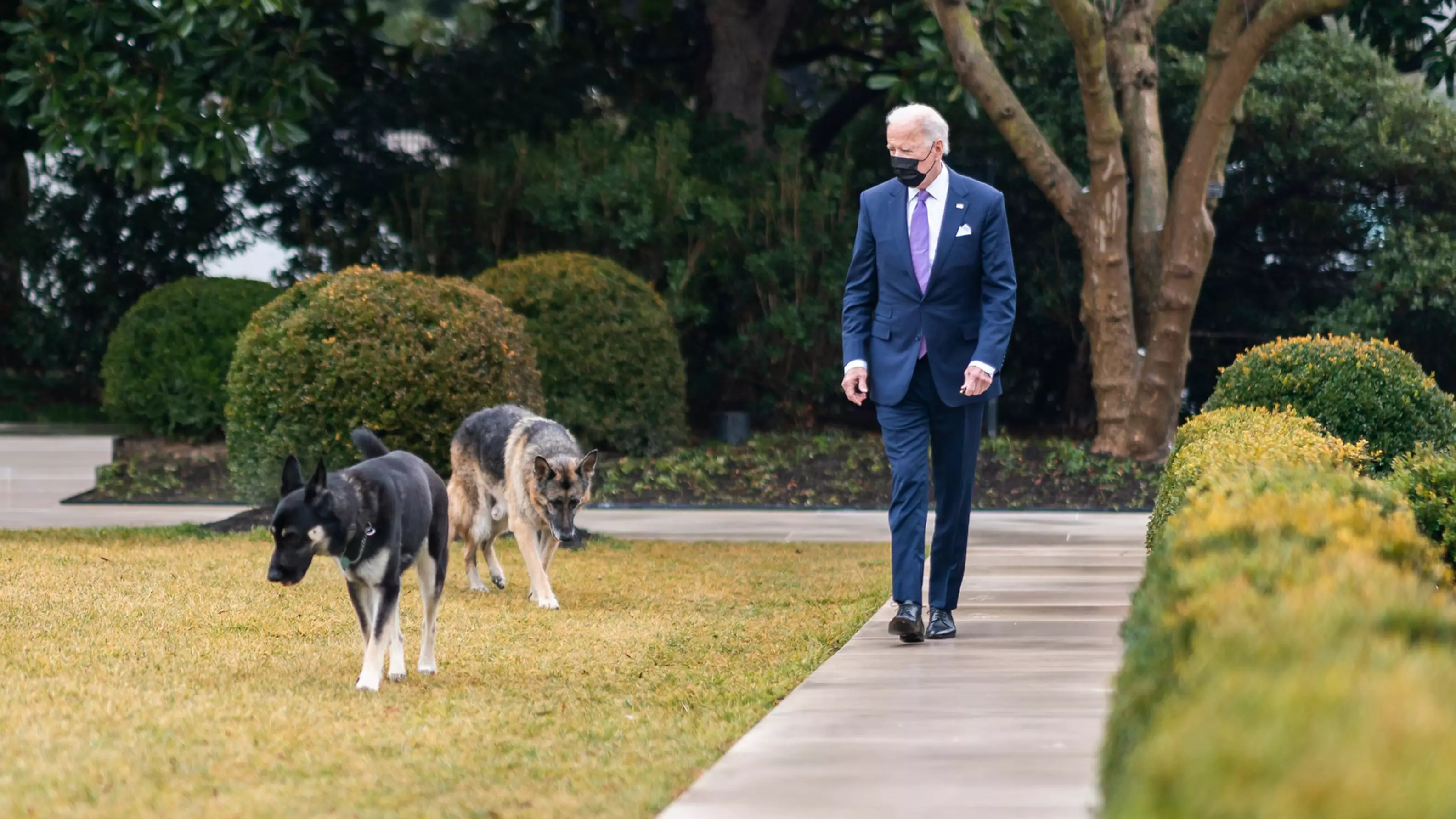 News Channel Accuses President Joe Biden's Dog Of Not Being 'Presidential' 