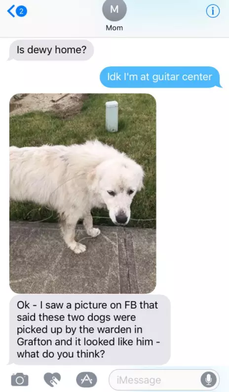 Mum shows she doesn't know her dog