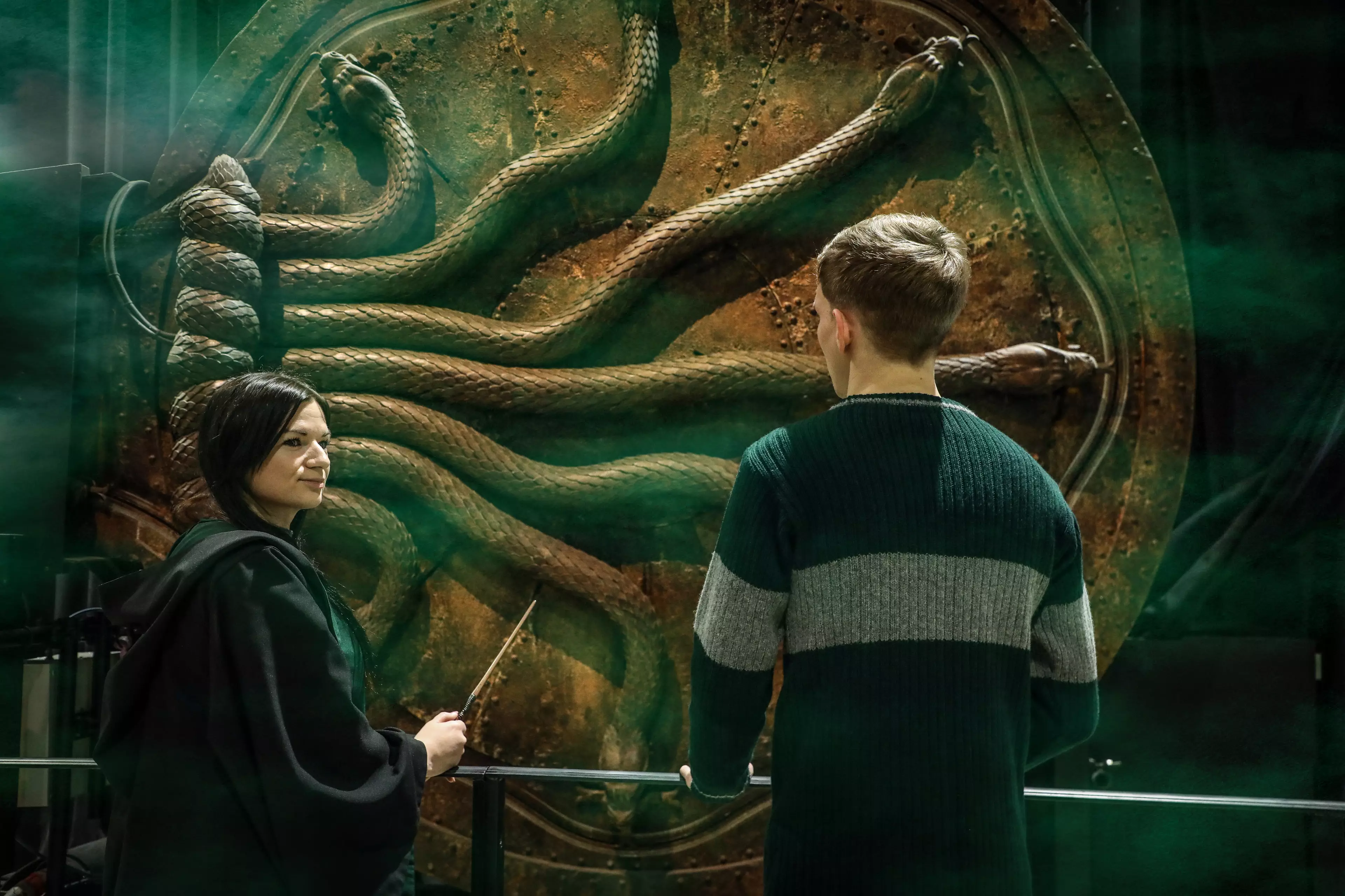 Fans can now visit the Slytherin common room for the first time ever (