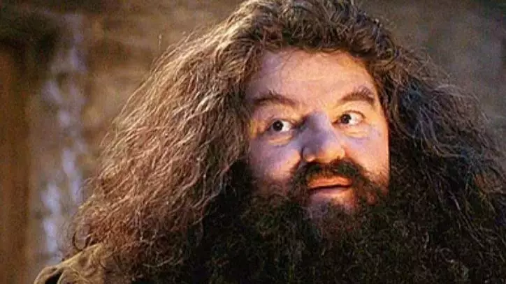 Hagrid Could Make An Appearance In 'Fantastic Beasts 3'