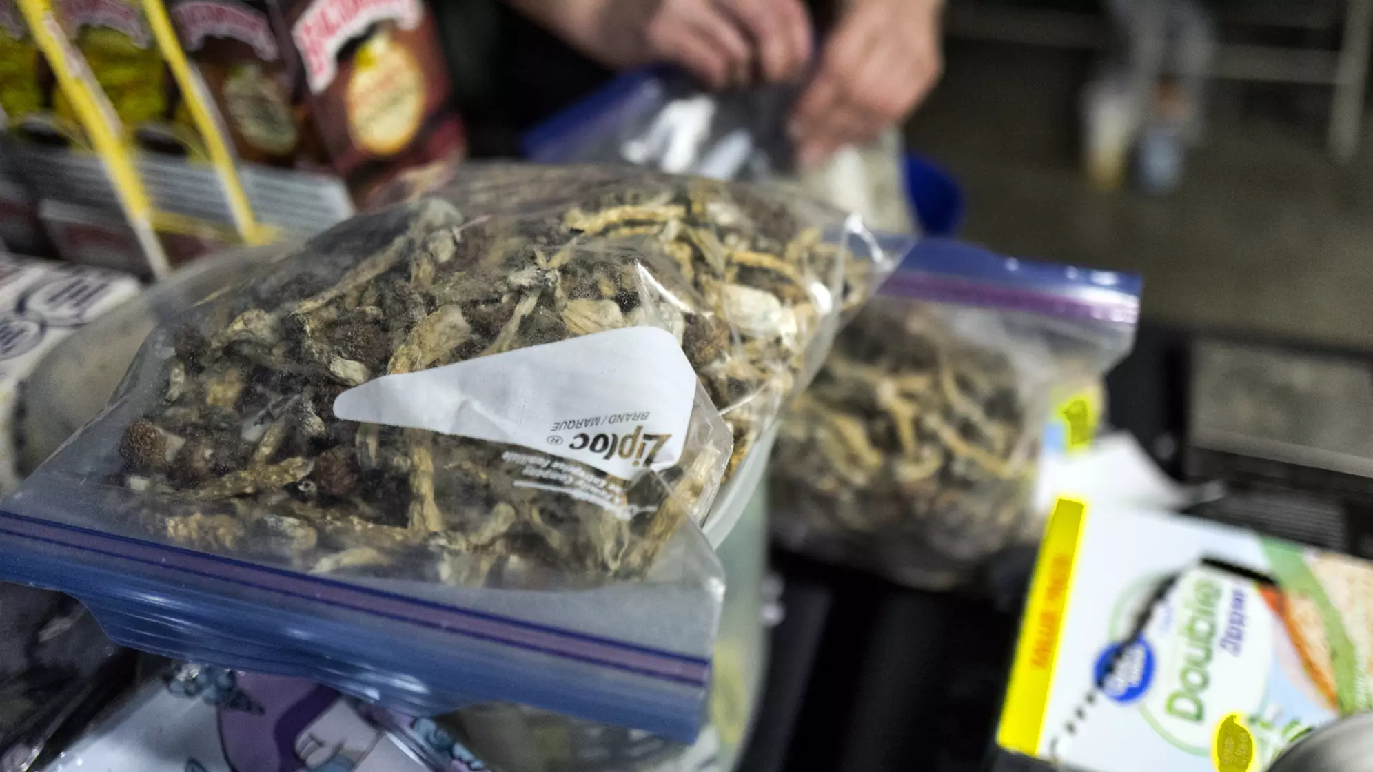 Denver Has Become The First City US City To Decriminalise 'Magic Mushrooms'