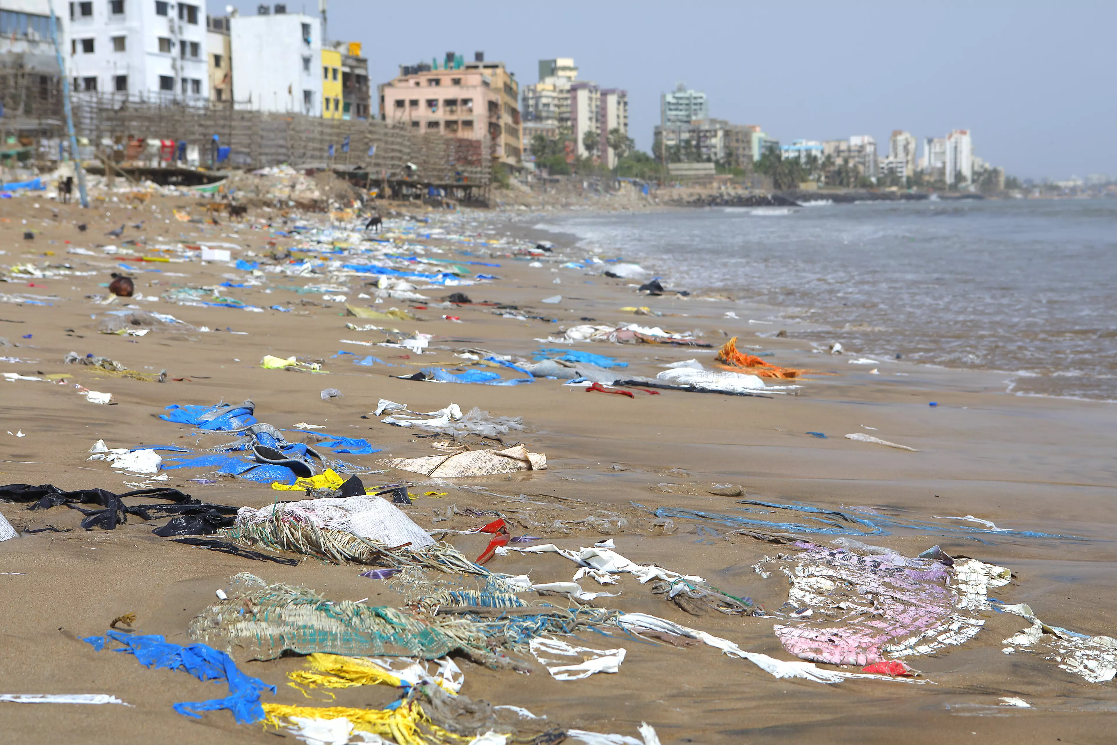 Plastic bags are damaging to the environment (