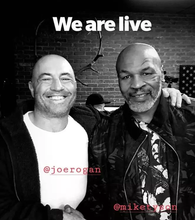 Tyson and Rogan smoked weed together during the podcast.