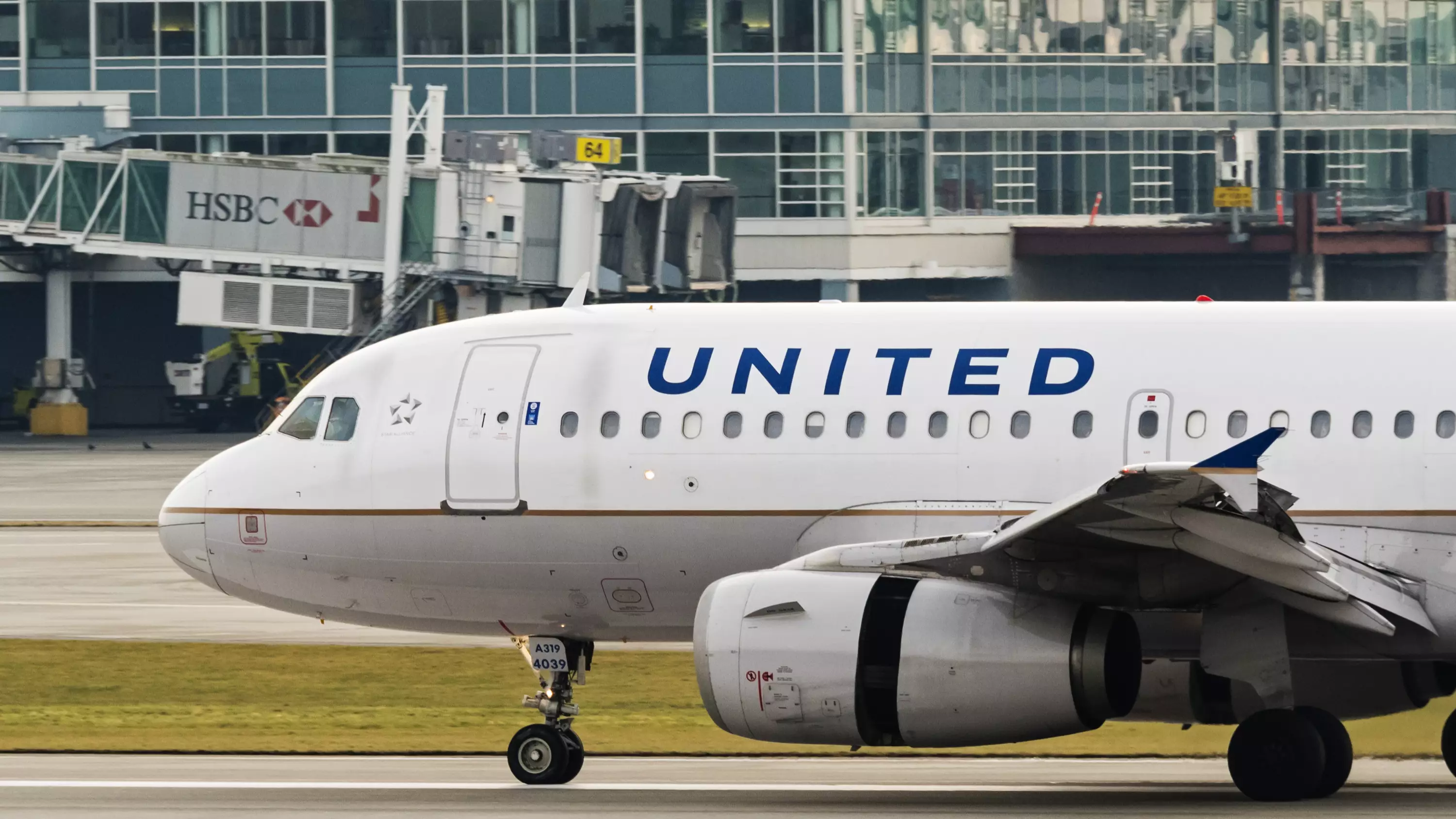 Dog Dies On Board United Airlines Plane After Being Placed In Overhead Locker 