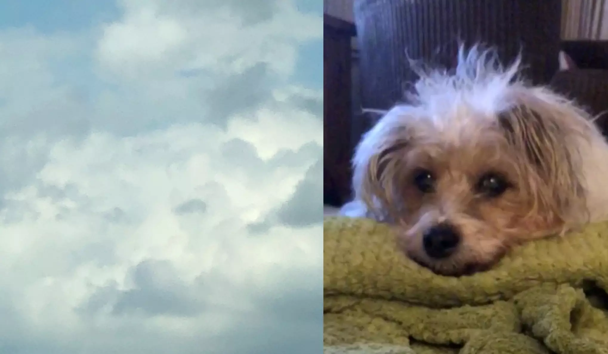 Sunny's face appeared in the clouds.