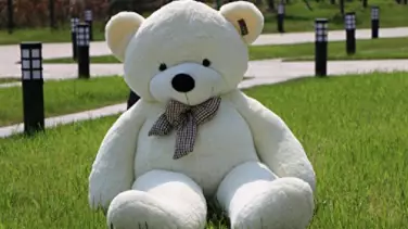 People Are Creeped Out By This Giant Teddy Bear That's All Legs 