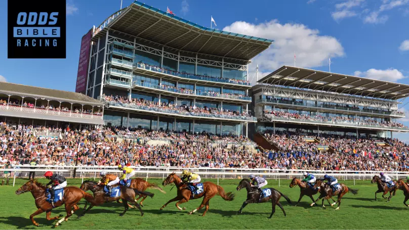 ODDSbible Racing: York Dante Stakes Day Three Betting Preview