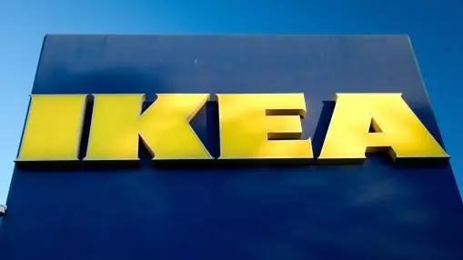 Italian IKEA Store Opens Its Doors To Stray Dogs
