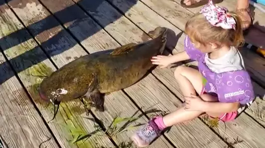 Girl, 4, Catches Massive 33 Pound Fish With Kids Frozen-Themed