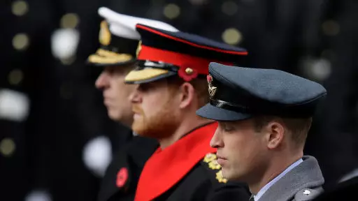 Prince Harry Breaks Military Rules By Sporting A Beard While In Uniform