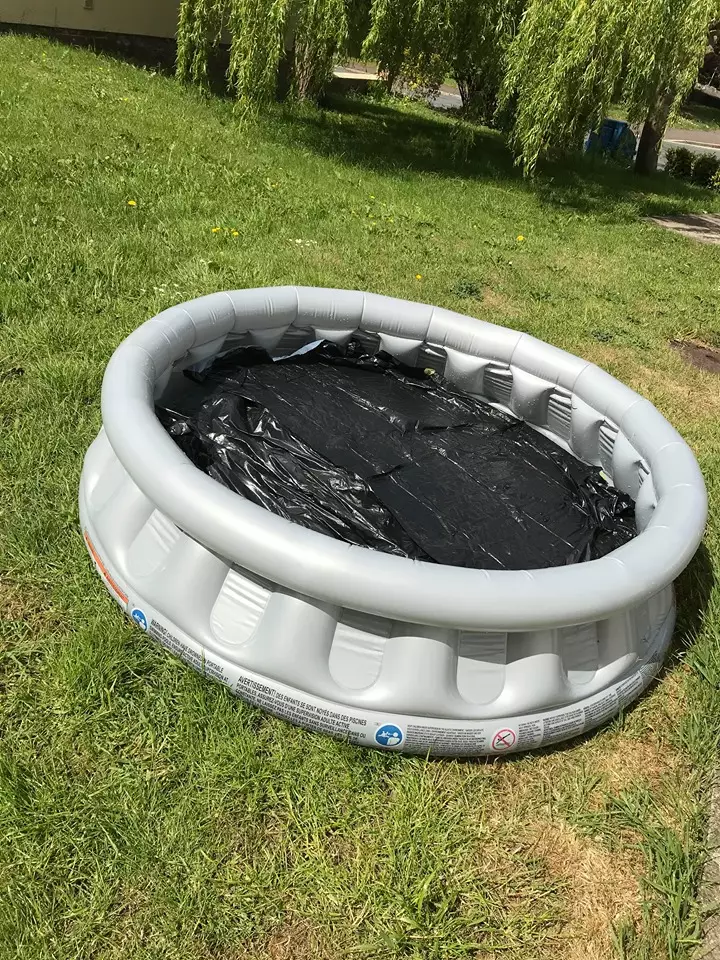 Simply cover the pool with a black bin bag - but make sure you reuse them. (Lainey Thomson)