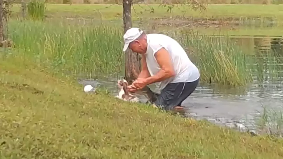 ​Florida Man Speaks Out After Saving Puppy From Alligator