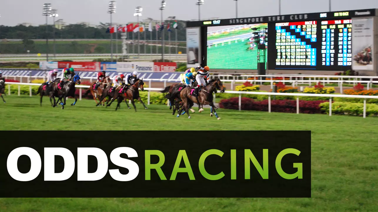 ODDSbibleRacing's Best Bets From Friday's Action At Lingfield, Newbury, Newcastle and Dubai