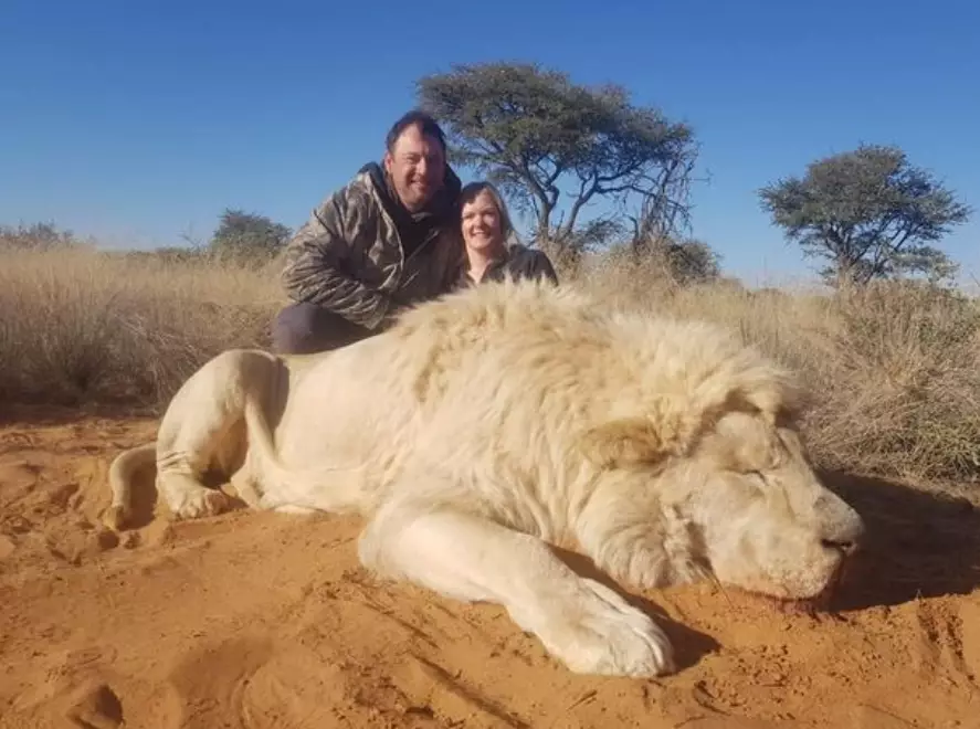 Darren and Carolyn Carter were posing during a 'canned hunt' in South Africa.