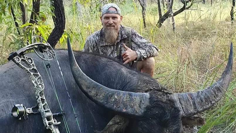 Buffalo Leaves Hunter With Severe Injuries After Goring Him In Death Throes