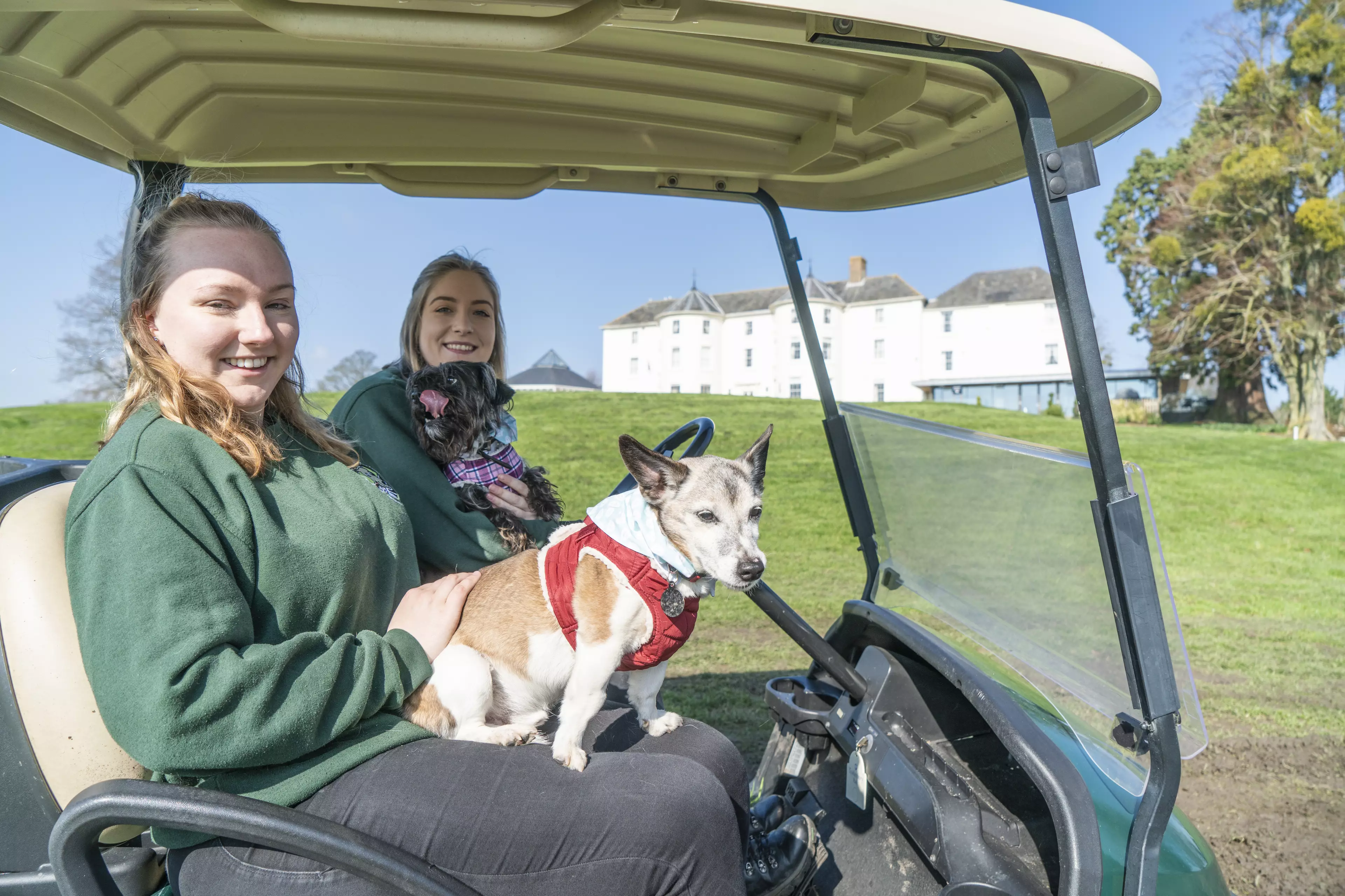 The dogs hitched a ride on a golf buggy back to the hotel after a run around the grounds (