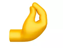 The 'pinched fingers' emoji is set to be popular (