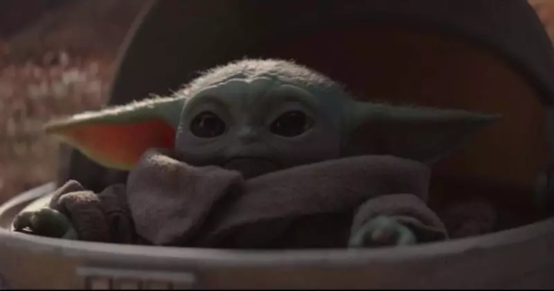 Baby Yoda has been melting hearts.