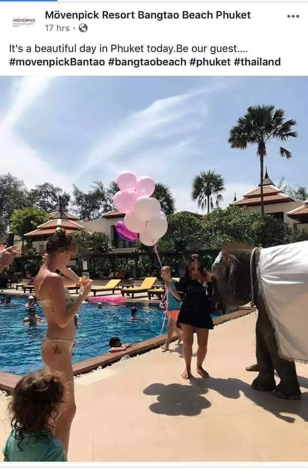 The photo appears to show an elephant being forced to entertain at a party.