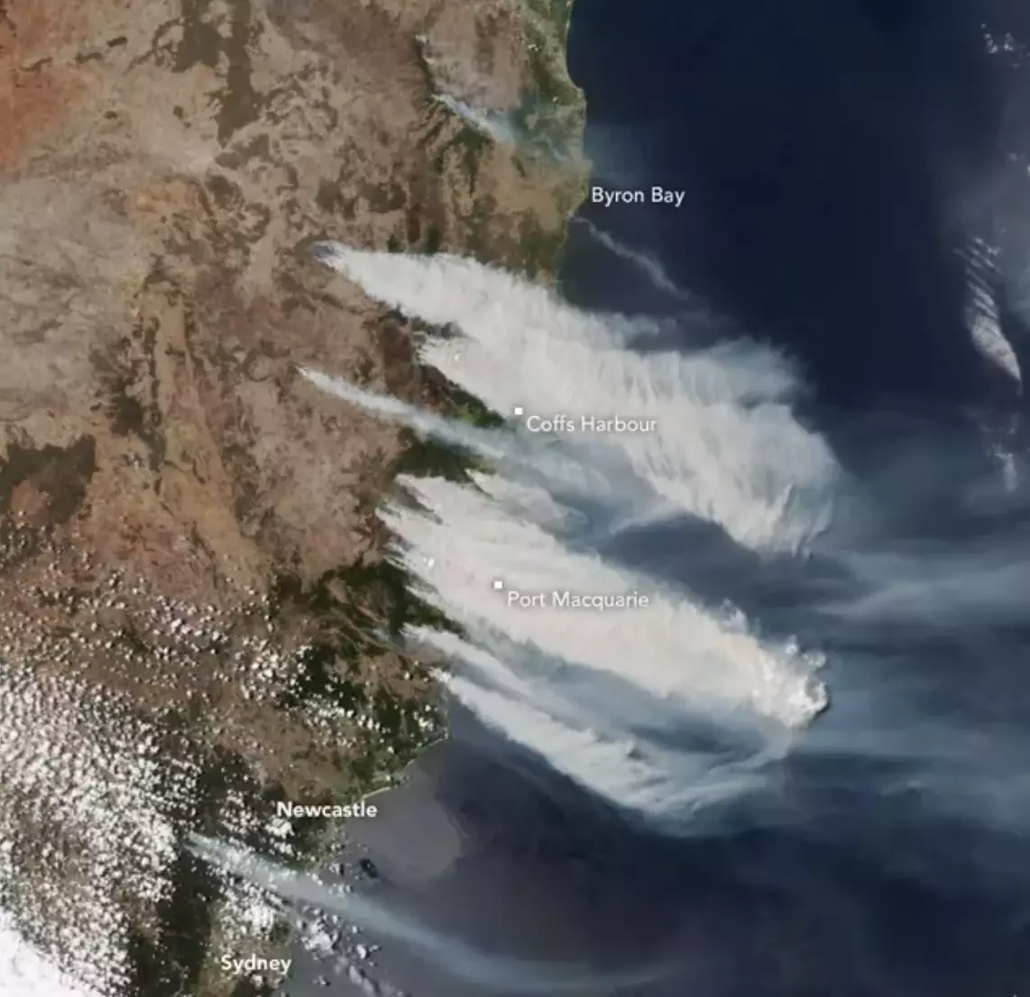 A picture showing the bushfires on 8 November.