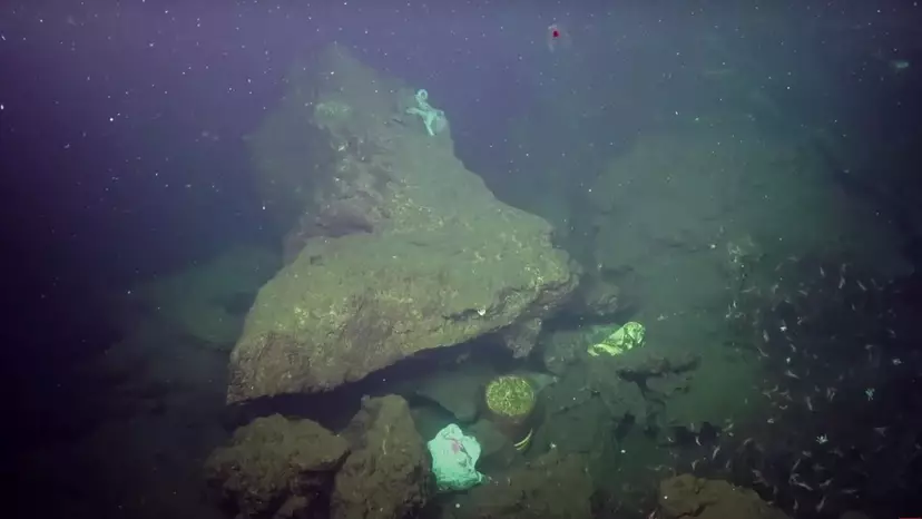 Horror Discovery Made At Deepest Part Of The Ocean