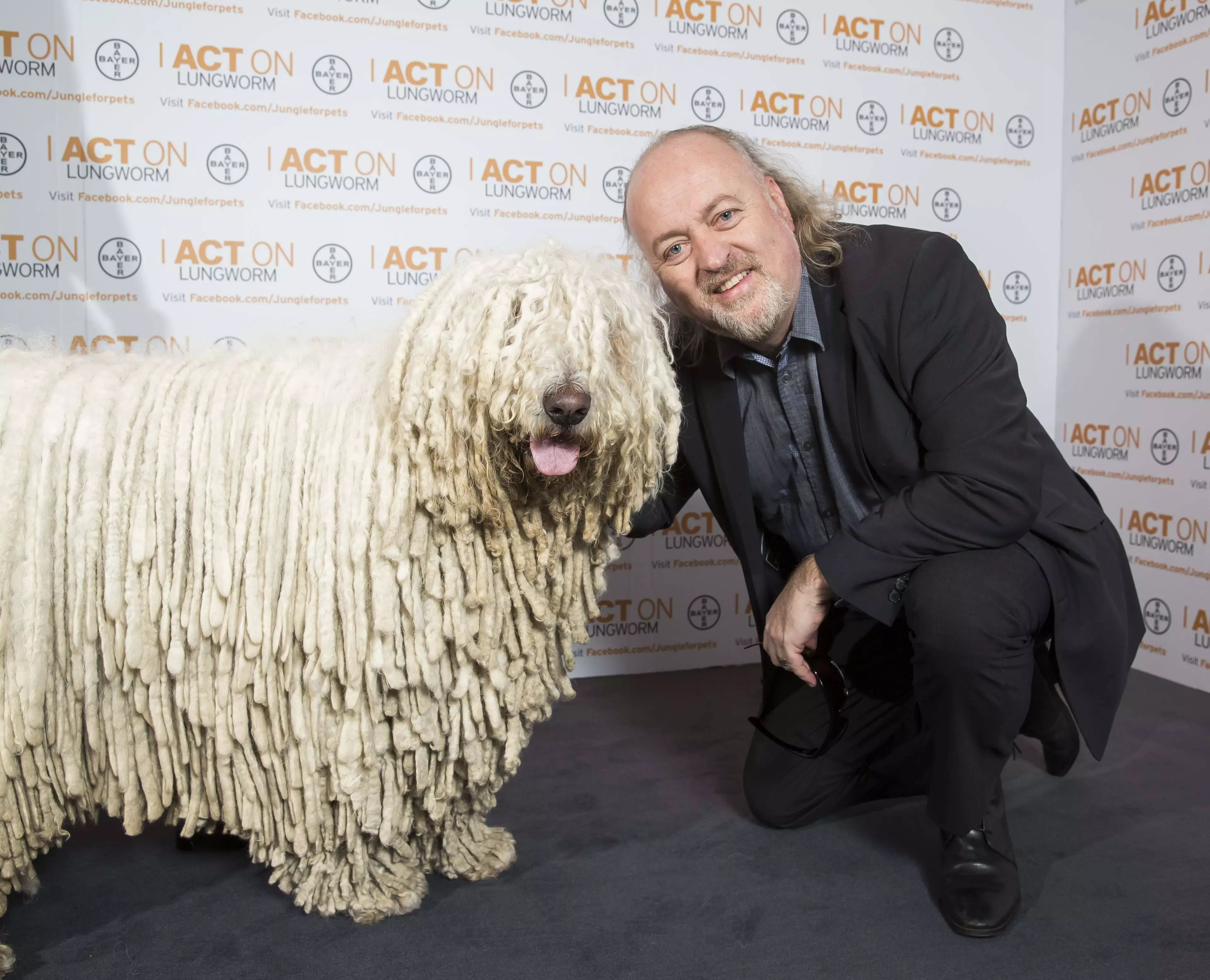 A hilarious shaggy-haired creature from the countryside, alongside a dog.