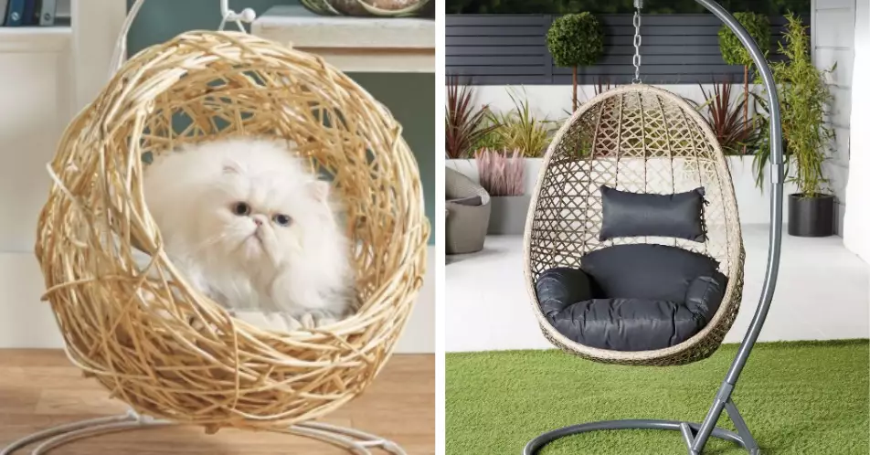 The pet egg chair means even cats can now get on on the interior trend (