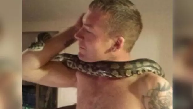 Snake Handler Was Strangled By His 8ft Pet Python In ‘Show Of Affection’