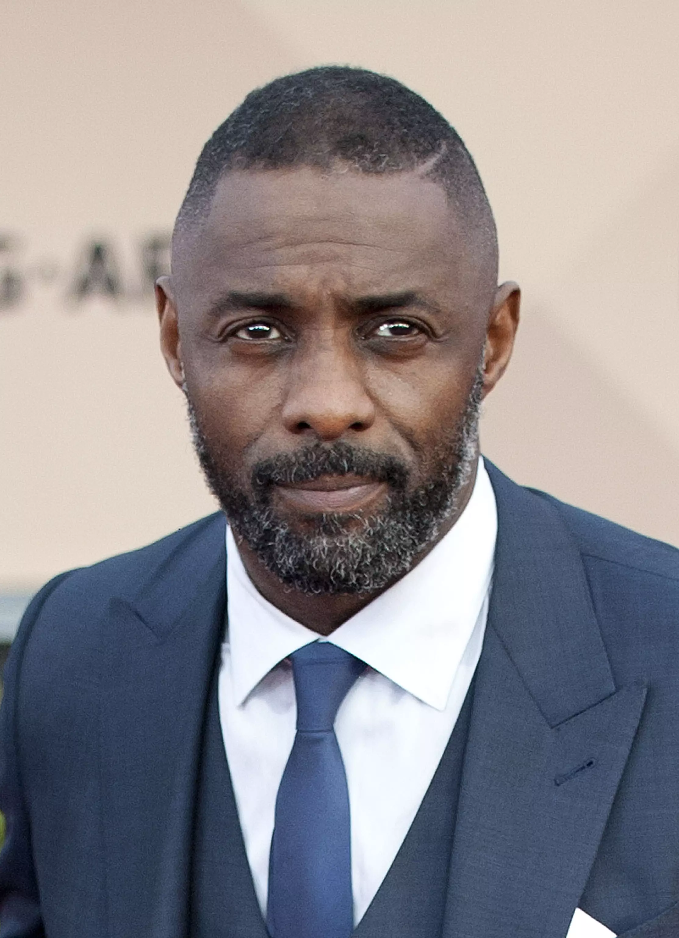 Idris Elba is one of Pierce Brosnan's favourites to play the next 007. (