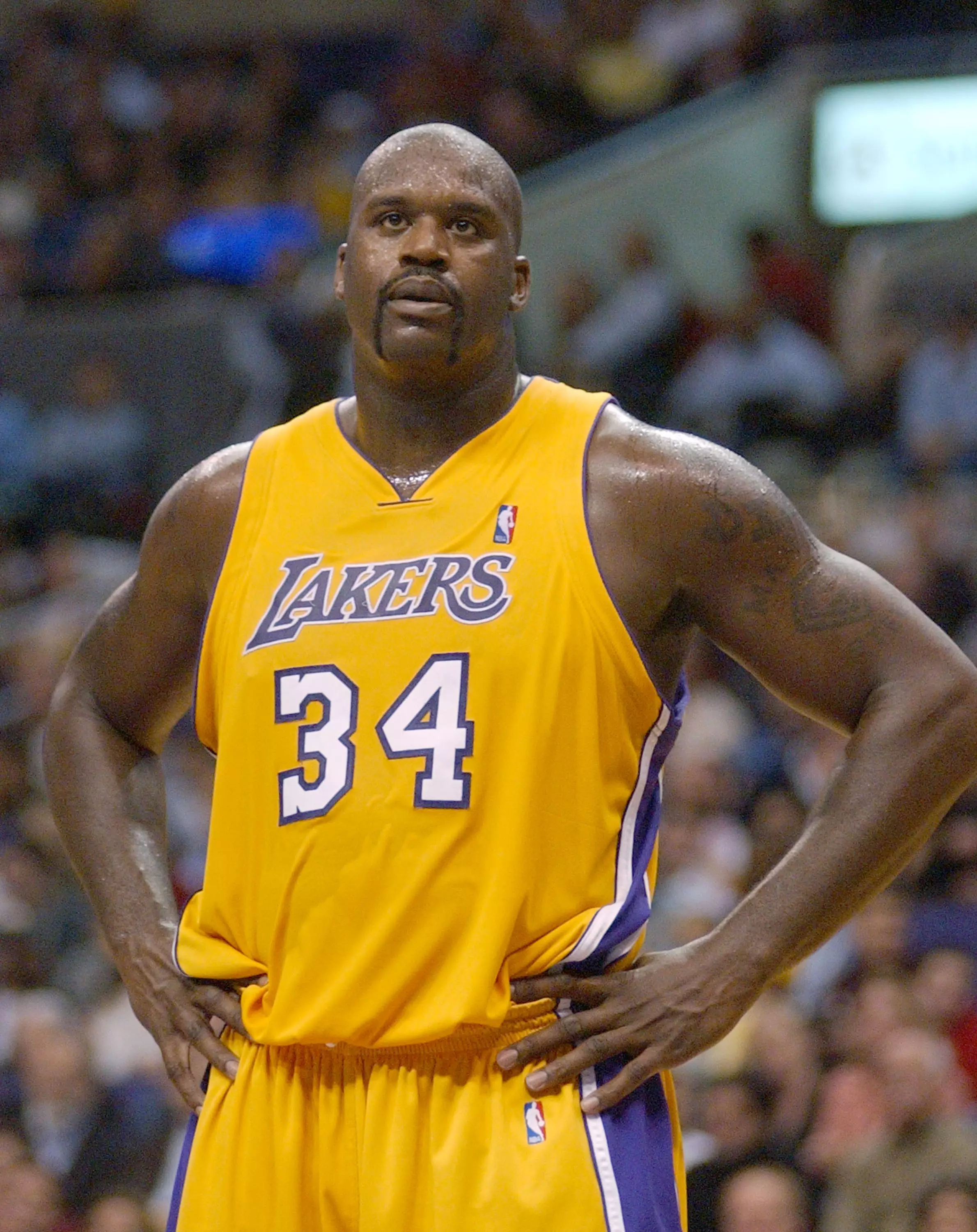 Shaquille O'Neal.