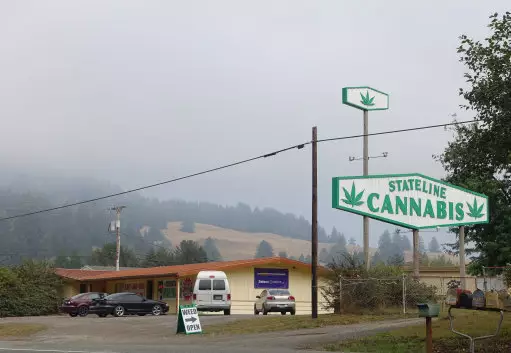A sign saying 'Stateline Cannabis' can be seen on the Highway 101 near Brookings at the state border between Oregon and California.